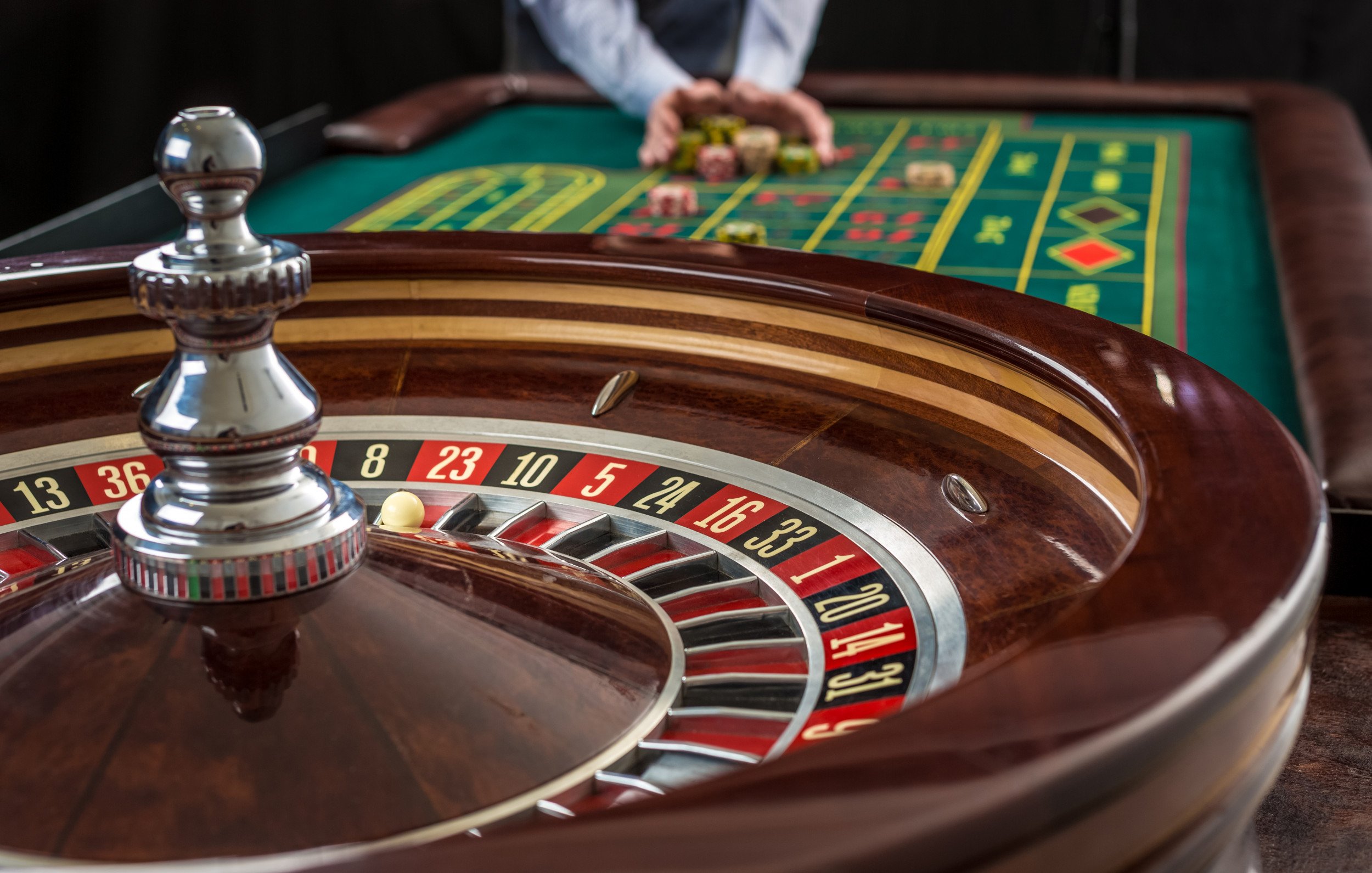 bingoplus con