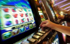bingoplus con