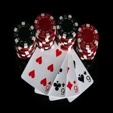 bingoplus con